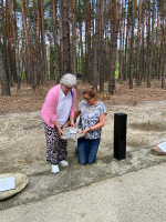 9d53fce5-4867-452e-aa4f-2e00aa460c2f