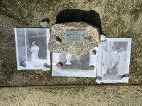 b8d921f9-3dcd-4425-b81f-bb1e41a74c17