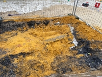 01-img_2123_20210430_1897223115