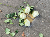 PHOTO-2022-11-09-11-36-27 2