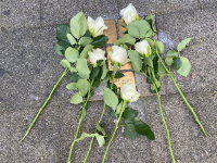 PHOTO-2022-11-09-11-36-29